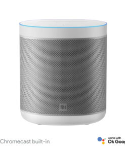 Xiaomi Smart Speaker